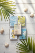 Scents of Summer Wax Melt Bundle