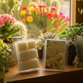 Cactus Blooms Soy Wax Melts